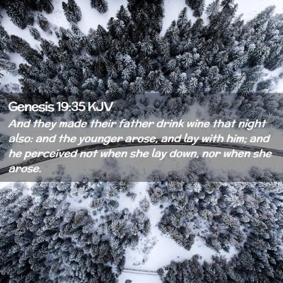 Picture 02 - Genesis 19:35 KJV - And they made their father drink wine that night - Bible Verse Picture