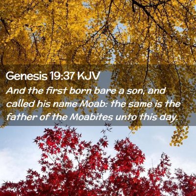 Picture 02 - Genesis 19:37 KJV - And the first born bare a son, and called his - Bible Verse Picture
