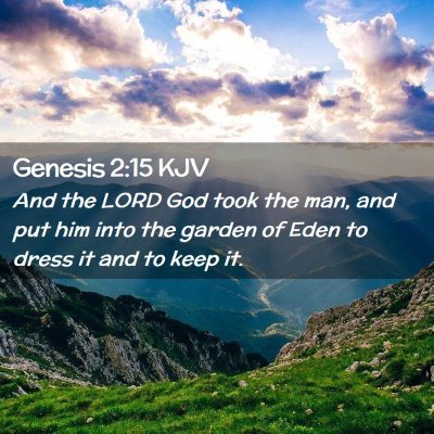 Picture 02 - Genesis 2:15 KJV - And the LORD God took the man, and put him into - Bible Verse Picture