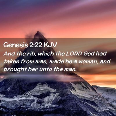 Picture 02 - Genesis 2:22 KJV - And the rib, which the LORD God had taken from - Bible Verse Picture