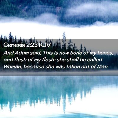 Picture 02 - Genesis 2:23 KJV - And Adam said, This is now bone of my bones, and - Bible Verse Picture