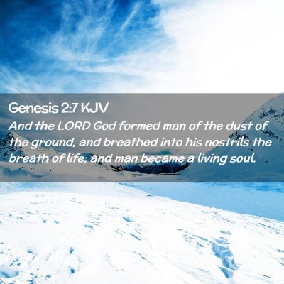 Picture 02 - Genesis 2:7 KJV - And the LORD God formed man of the dust of the - Bible Verse Picture