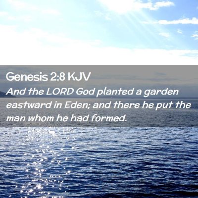 Picture 02 - Genesis 2:8 KJV - And the LORD God planted a garden eastward in - Bible Verse Picture