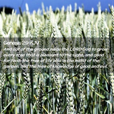 Picture 02 - Genesis 2:9 KJV - And out of the ground made the LORD God to grow - Bible Verse Picture