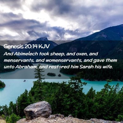 Picture 02 - Genesis 20:14 KJV - And Abimelech took sheep, and oxen, and - Bible Verse Picture