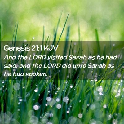 Picture 02 - Genesis 21:1 KJV - And the LORD visited Sarah as he had said, and - Bible Verse Picture