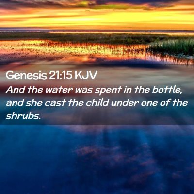 Picture 02 - Genesis 21:15 KJV - And the water was spent in the bottle, and she - Bible Verse Picture