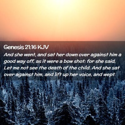 Picture 02 - Genesis 21:16 KJV - And she went, and sat her down over against him a - Bible Verse Picture