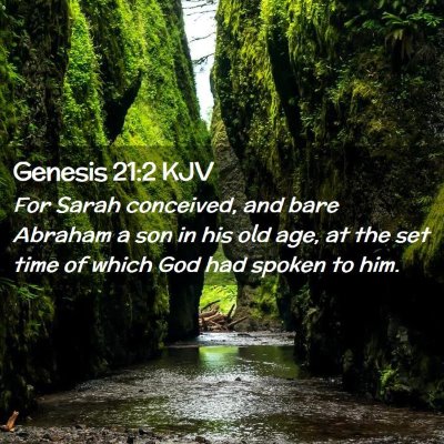 Picture 02 - Genesis 21:2 KJV - For Sarah conceived, and bare Abraham a son in - Bible Verse Picture