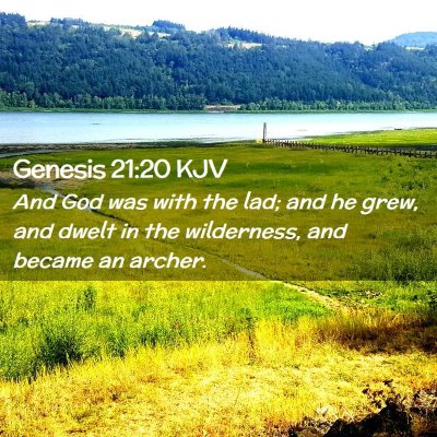 Picture 02 - Genesis 21:20 KJV - And God was with the lad; and he grew, and dwelt - Bible Verse Picture