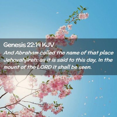 Picture 02 - Genesis 22:14 KJV - And Abraham called the name of that place - Bible Verse Picture