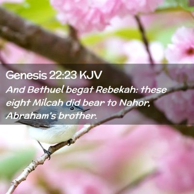 Picture 02 - Genesis 22:23 KJV - And Bethuel begat Rebekah: these eight Milcah did - Bible Verse Picture