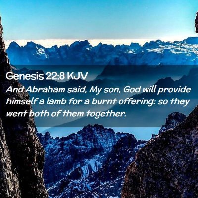 Picture 02 - Genesis 22:8 KJV - And Abraham said, My son, God will provide - Bible Verse Picture