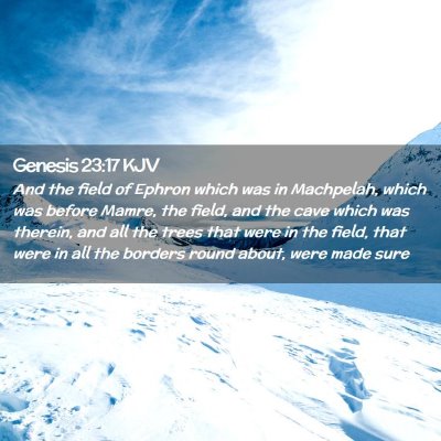 Picture 02 - Genesis 23:17 KJV - And the field of Ephron which was in Machpelah, - Bible Verse Picture