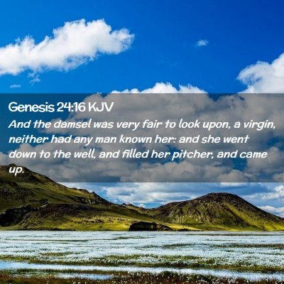 Picture 02 - Genesis 24:16 KJV - And the damsel was very fair to look upon, a - Bible Verse Picture
