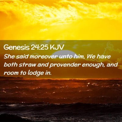 Picture 02 - Genesis 24:25 KJV - She said moreover unto him, We have both straw - Bible Verse Picture