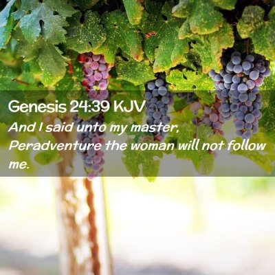 Picture 02 - Genesis 24:39 KJV - And I said unto my master, Peradventure the woman - Bible Verse Picture