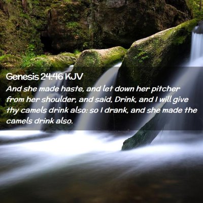 Picture 02 - Genesis 24:46 KJV - And she made haste, and let down her pitcher from - Bible Verse Picture