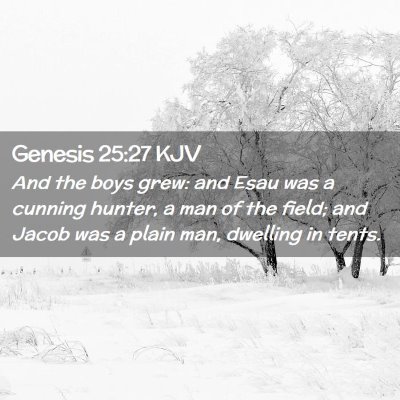 Picture 02 - Genesis 25:27 KJV - And the boys grew: and Esau was a cunning hunter, - Bible Verse Picture