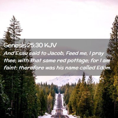 Picture 02 - Genesis 25:30 KJV - And Esau said to Jacob, Feed me, I pray thee, - Bible Verse Picture