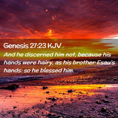 Picture 02 - Genesis 27:23 KJV - And he discerned him not, because his hands were - Bible Verse Picture