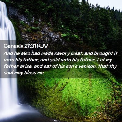 Picture 02 - Genesis 27:31 KJV - And he also had made savory meat, and brought it - Bible Verse Picture