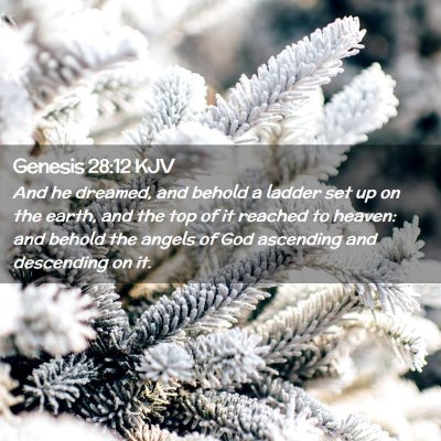 Picture 02 - Genesis 28:12 KJV - And he dreamed, and behold a ladder set up on the - Bible Verse Picture