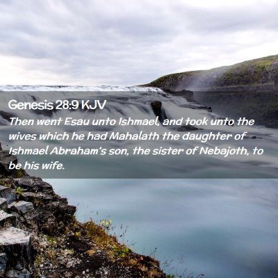 Picture 02 - Genesis 28:9 KJV - Then went Esau unto Ishmael, and took unto the - Bible Verse Picture