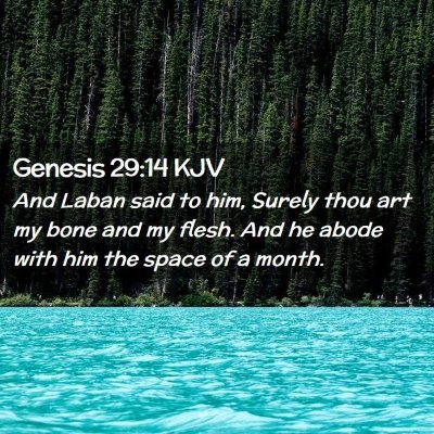 Picture 02 - Genesis 29:14 KJV - And Laban said to him, Surely thou art my bone - Bible Verse Picture