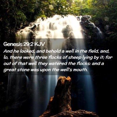 Picture 02 - Genesis 29:2 KJV - And he looked, and behold a well in the field, - Bible Verse Picture