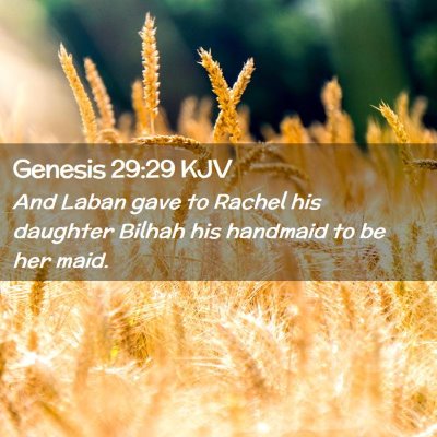 Picture 02 - Genesis 29:29 KJV - And Laban gave to Rachel his daughter Bilhah his - Bible Verse Picture