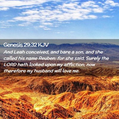 Picture 02 - Genesis 29:32 KJV - And Leah conceived, and bare a son, and she - Bible Verse Picture