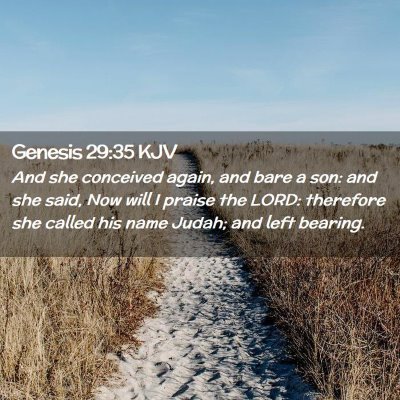 Picture 02 - Genesis 29:35 KJV - And she conceived again, and bare a son: and she - Bible Verse Picture