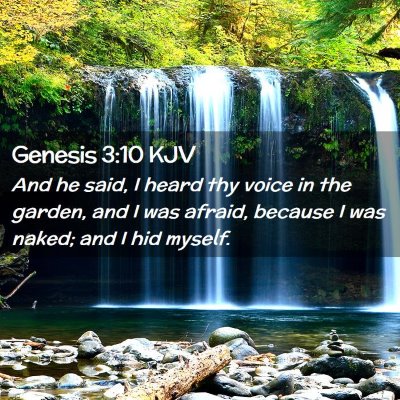 Picture 02 - Genesis 3:10 KJV - And he said, I heard thy voice in the garden, and - Bible Verse Picture