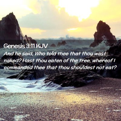 Picture 02 - Genesis 3:11 KJV - And he said, Who told thee that thou wast naked? - Bible Verse Picture