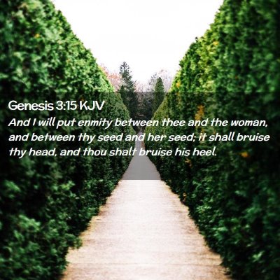 Picture 02 - Genesis 3:15 KJV - And I will put enmity between thee and the woman, - Bible Verse Picture
