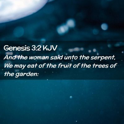 Picture 02 - Genesis 3:2 KJV - And the woman said unto the serpent, We may eat - Bible Verse Picture