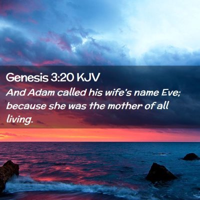 Picture 02 - Genesis 3:20 KJV - And Adam called his wife's name Eve; because she - Bible Verse Picture