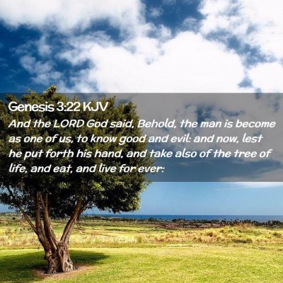 Picture 02 - Genesis 3:22 KJV - And the LORD God said, Behold, the man is become - Bible Verse Picture