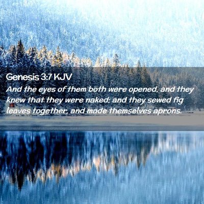 Picture 02 - Genesis 3:7 KJV - And the eyes of them both were opened, and they - Bible Verse Picture