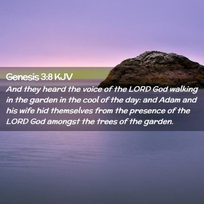 Picture 02 - Genesis 3:8 KJV - And they heard the voice of the LORD God walking - Bible Verse Picture