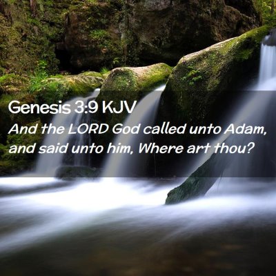 Picture 02 - Genesis 3:9 KJV - And the LORD God called unto Adam, and said unto - Bible Verse Picture