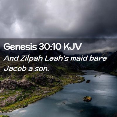 Picture 02 - Genesis 30:10 KJV - And Zilpah Leah's maid bare Jacob a - Bible Verse Picture