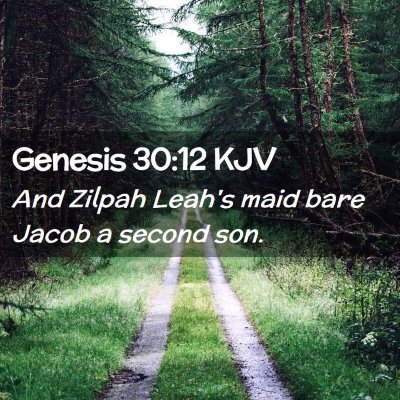 Picture 02 - Genesis 30:12 KJV - And Zilpah Leah's maid bare Jacob a second - Bible Verse Picture