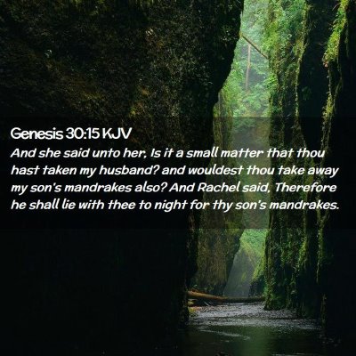 Picture 02 - Genesis 30:15 KJV - And she said unto her, Is it a small matter that - Bible Verse Picture