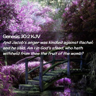 Picture 02 - Genesis 30:2 KJV - And Jacob's anger was kindled against Rachel: and - Bible Verse Picture