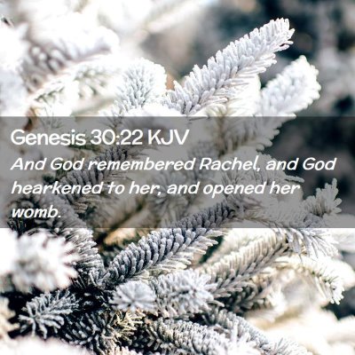 Picture 02 - Genesis 30:22 KJV - And God remembered Rachel, and God hearkened to - Bible Verse Picture