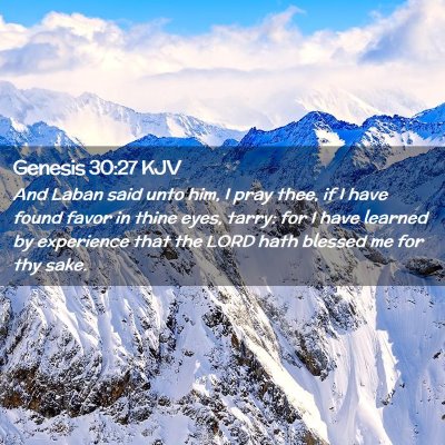 Picture 02 - Genesis 30:27 KJV - And Laban said unto him, I pray thee, if I have - Bible Verse Picture