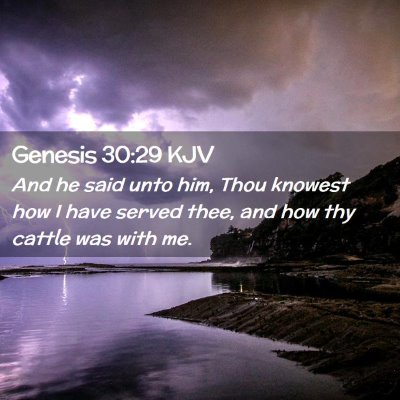 Picture 02 - Genesis 30:29 KJV - And he said unto him, Thou knowest how I have - Bible Verse Picture