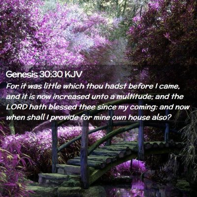 Picture 02 - Genesis 30:30 KJV - For it was little which thou hadst before I came, - Bible Verse Picture